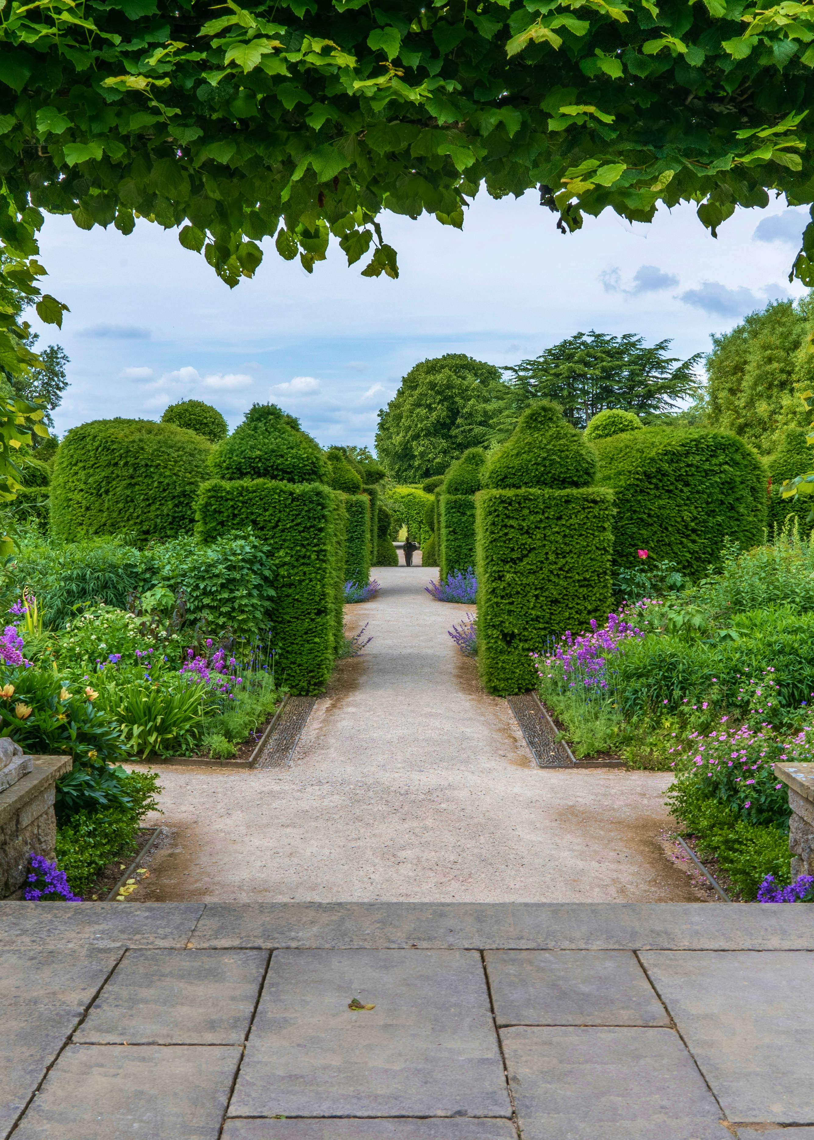 garden full of hedges and flowers